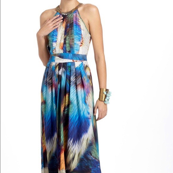 Ranna Gill Tropicalia Maxi Dress - Picture 7 of 15